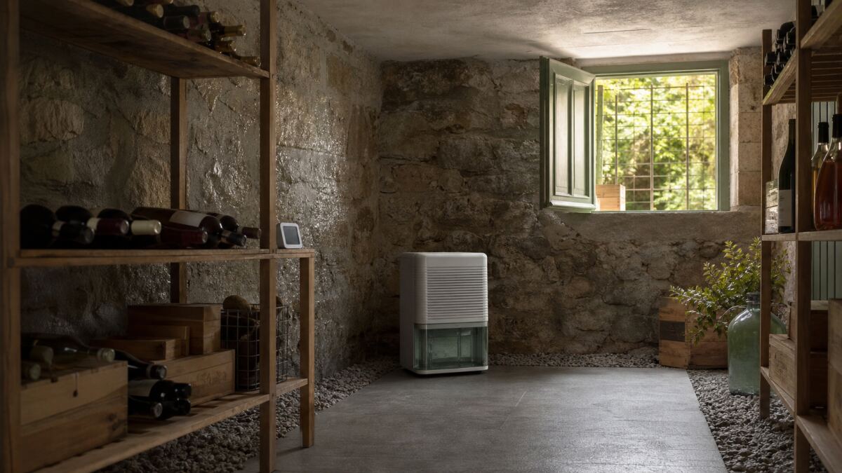 Ventiler une cave en été sans condensation