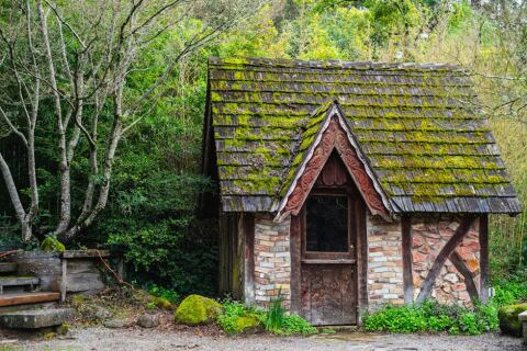 Nettoyage de toiture : démoussage, traitement et prix réels en 2026