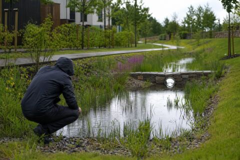 Bassins temporaires de pluie : sécurité et intérêt écologique