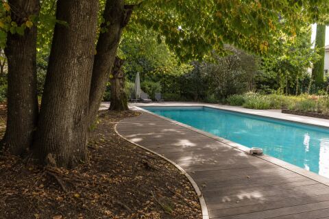 Piscine près de grands arbres : racines, feuilles et stabilité du sol