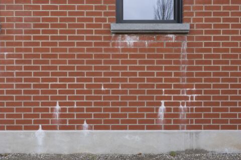 Efflorescences sur une maçonnerie neuve : attendre, nettoyer ou rechercher une fuite ?